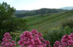 Weekend nella natura nella valle del Sosio, Sicilia. Vivere un’esperienza di turismo rurale e sostenibile immersi nel verde e fra i cavalli, nel cuore del Parco Naturale dei Monti Sicani.